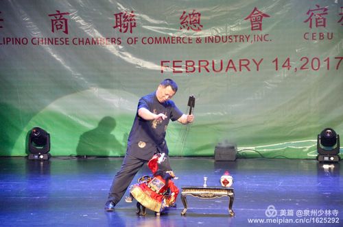 泉州文化艺术团赴宿务城市广场文化交流活动